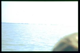 Landschulwoche 1992/Gymnasium Waidhofen/Thaya -> Neusiedl am See